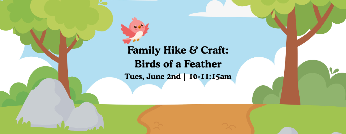 Family Hike & Craft: Birds of a Feather